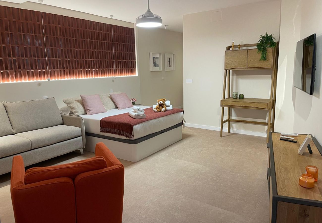 Studio in Valencia - Pintor Nicolau F - New studio for 4 PAX