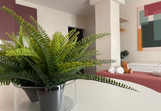 Studio in Valencia / València - Pintor Nicolau D - New studio for 4 PAX Studio in Valencia / València - Pintor Nicolau D - New studio for 4 PAX