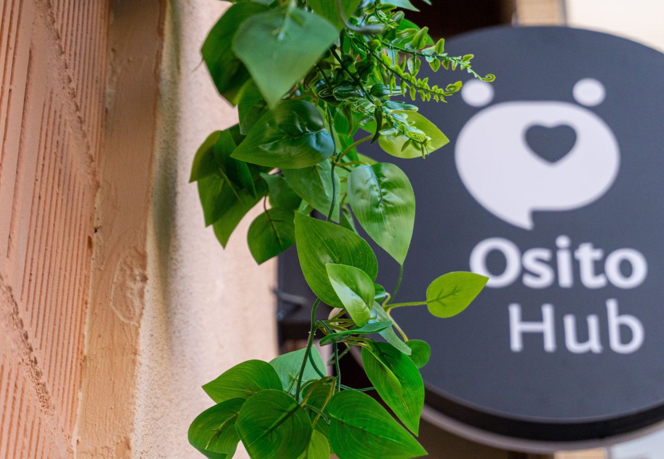 Studio à Valence / Valencia - Durán A - Loft refugio Studio à Valence / Valencia - Durán A - Loft refugio